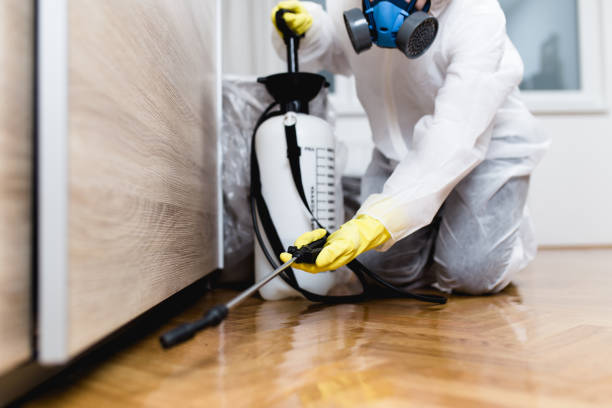 Best Pest Control for Restaurants  in Cottleville, MO