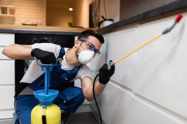 Best Best Pest Control Companies  in Cottleville, MO