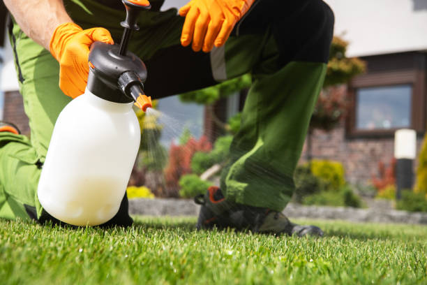Best Rat Extermination Near Me  in Cottleville, MO