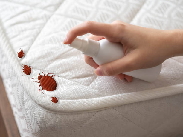 Best Pest Control for Restaurants  in Cottleville, MO