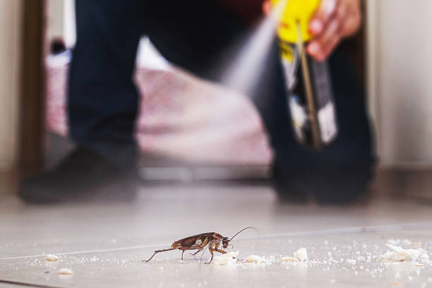 Best Local Pest Control Services  in Cottleville, MO