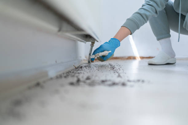Best Affordable Pest Control Services  in Cottleville, MO