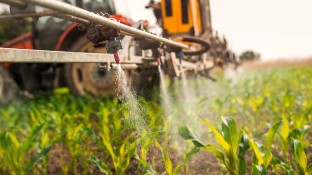 Reliable Cottleville, MO Pest Control Solutions