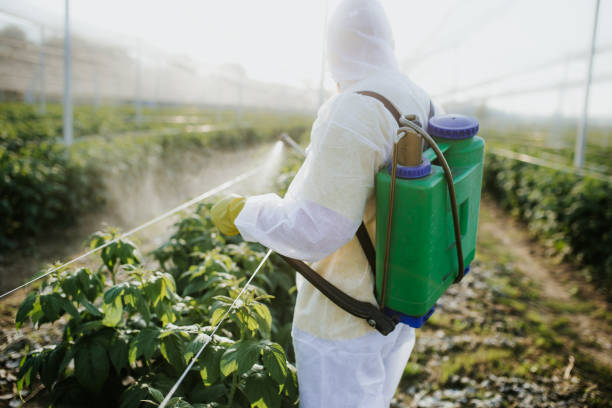 Best Pest Inspection Near Me  in Cottleville, MO